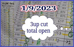 Thailand Lottery Total Cut Open Sure Digit Game 01-09-2022